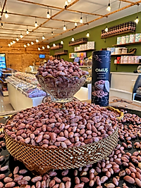 YER FISTIĞI KÜÇÜK BOY