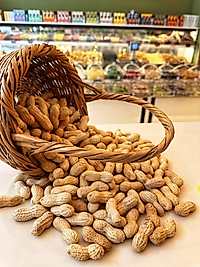 KABUKLU KAVRULMUŞ YER FISTIĞI